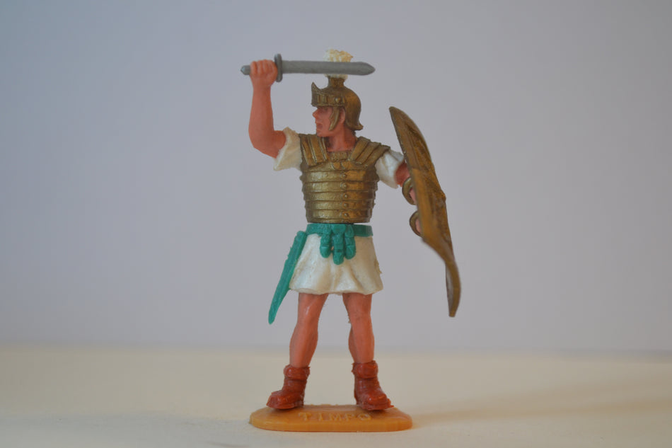 Timpo Roman Legionnaire