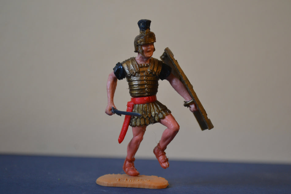 Timpo Roman Legionnaire