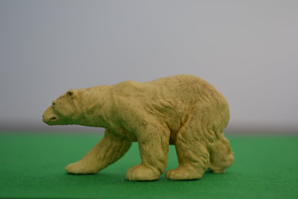 Britains Polar Bear Walking