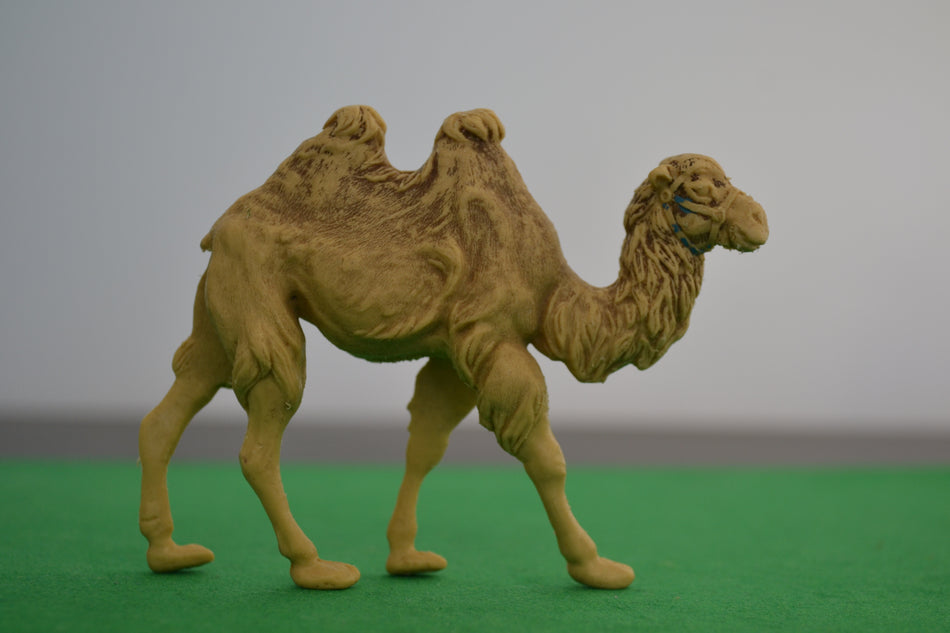 Britains Camel