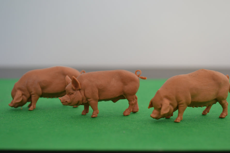 Britains Pigs set of 3