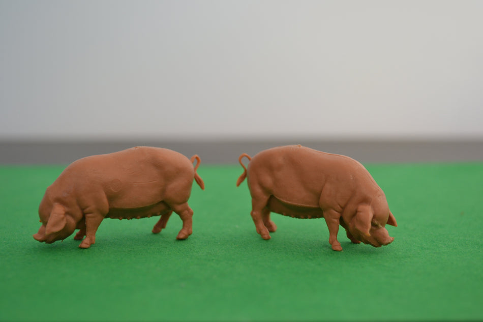 Britains Pigs set of 2